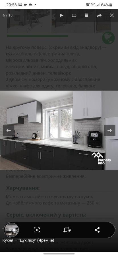 亚列姆切Дух Лісу别墅 外观 照片